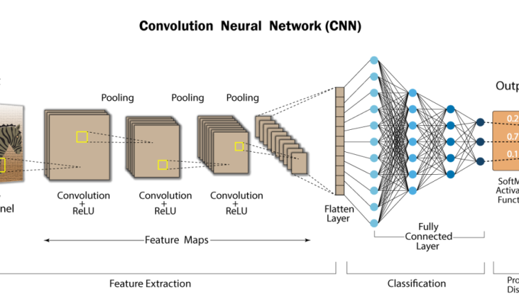 Convolutional Neural Networks