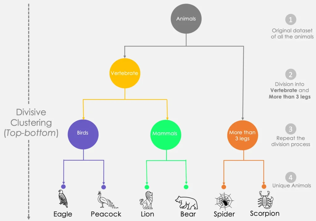 Hierarchical Clustering in SEO