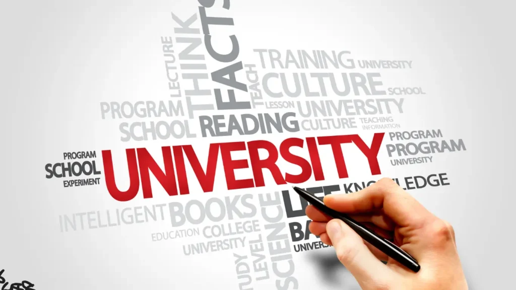 Top Universities for Digital Marketing